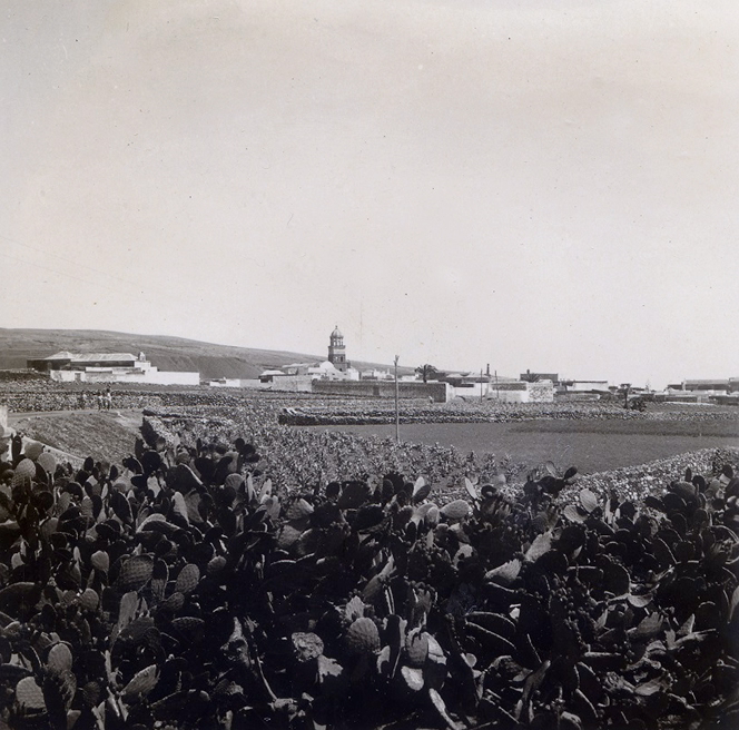 Fotografía antigua de la Villa de Teguise